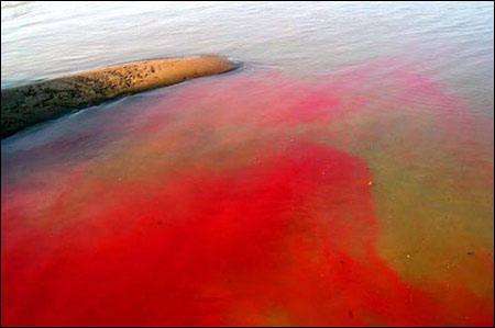 染料廢水檢測 染料廢水檢測