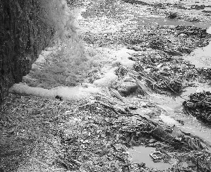 水質(zhì)檢測機(jī)構(gòu) 水質(zhì)檢測機(jī)構(gòu)