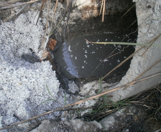 水質(zhì)檢測(cè)機(jī)構(gòu) 水質(zhì)檢測(cè)機(jī)構(gòu)