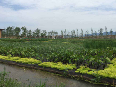 深圳水質(zhì)檢測(cè) 深圳水質(zhì)檢測(cè)