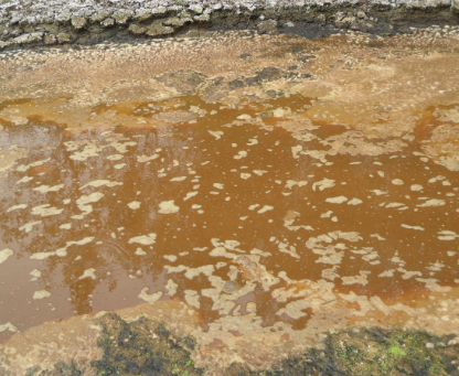 深圳水質(zhì)檢測(cè) 深圳水質(zhì)檢測(cè)