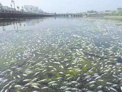 深圳水質(zhì)檢測 深圳水質(zhì)檢測