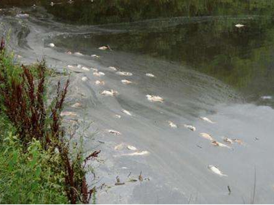 深圳水質(zhì)檢測 深圳水質(zhì)檢測