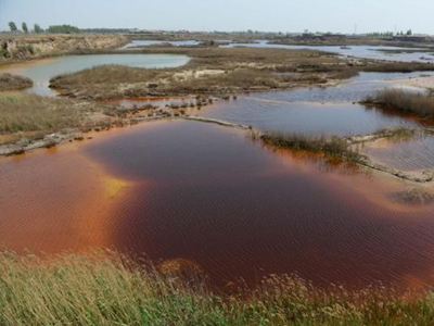 深圳水質檢測 深圳水質檢測