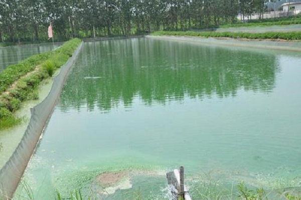 養(yǎng)殖水質(zhì)檢測(cè) 養(yǎng)殖水質(zhì)檢測(cè)